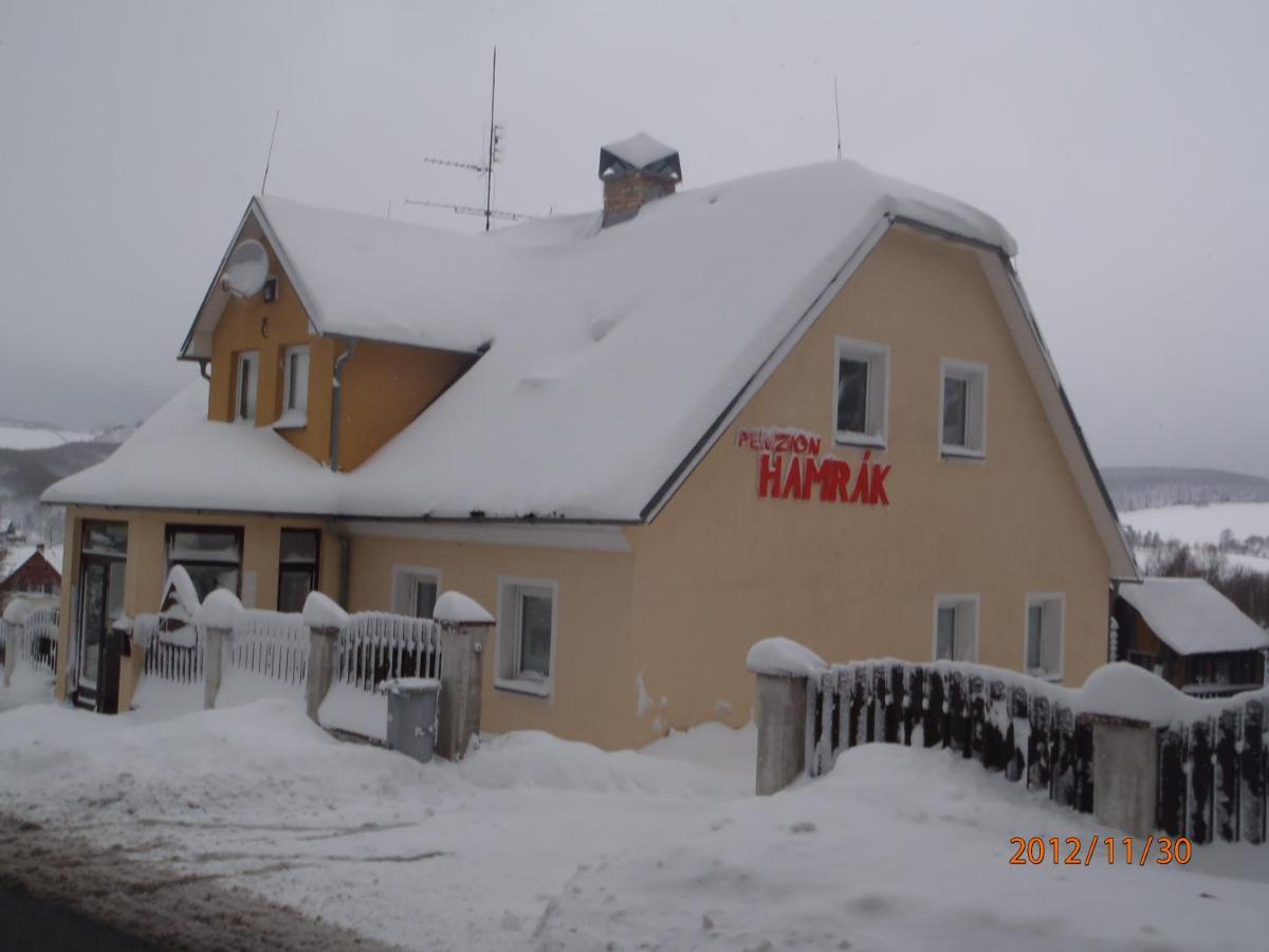 Penzion Hamrak Ceske Hamry 외부 사진